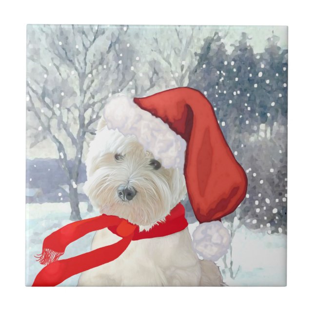 Papais noeis nas inicializações (Frente)