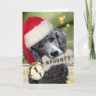 Papais noeis Poodle Naughle ou Cartões Nice