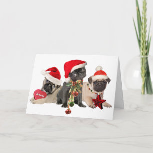 Papais noeis Pug Peitos Desejam Cartões de Natal F