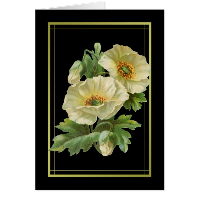 Papas Brancos Obrigado Cartões (Frente)