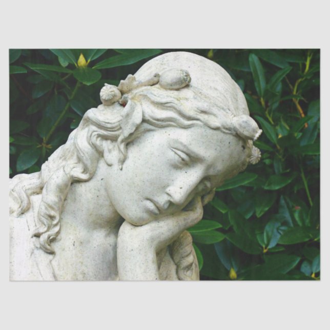 papel absorvente (Frente )