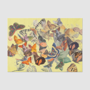 PAPEL AMARELO DE TECIDOS DE BORRACHA