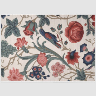 Papel azul para aves e papel de dissociação floral