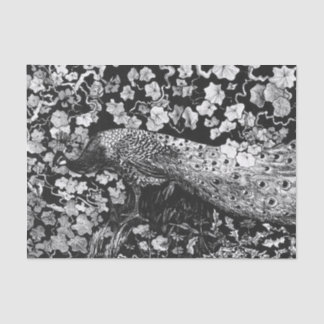 Papel branco e preto