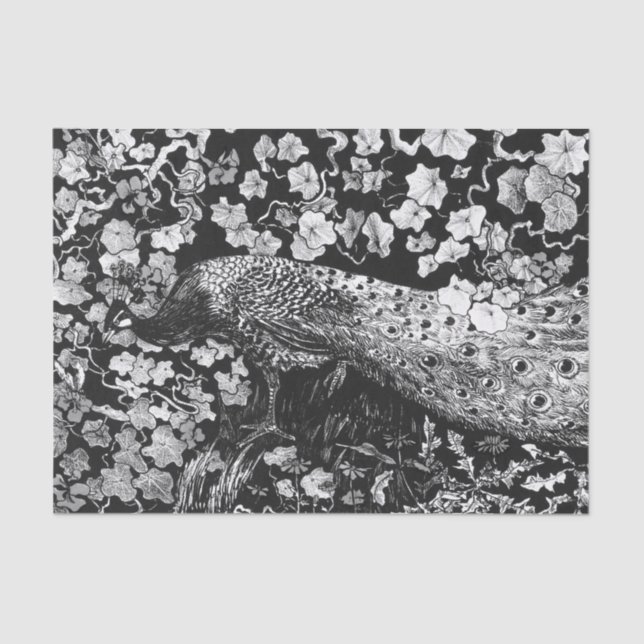 Papel branco e preto (Frente )