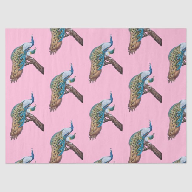 Papel cor-de-rosa Design 9 da série Peacock (Frente )
