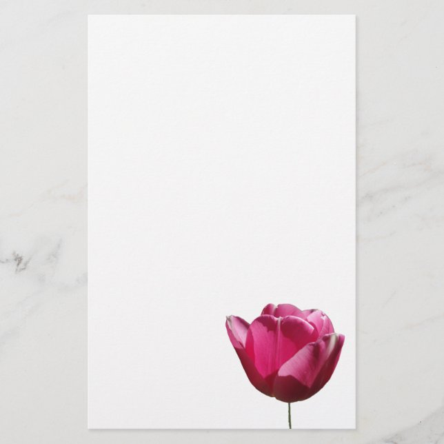 Papel cor-de-rosa dos artigos de papelaria da (Frente)