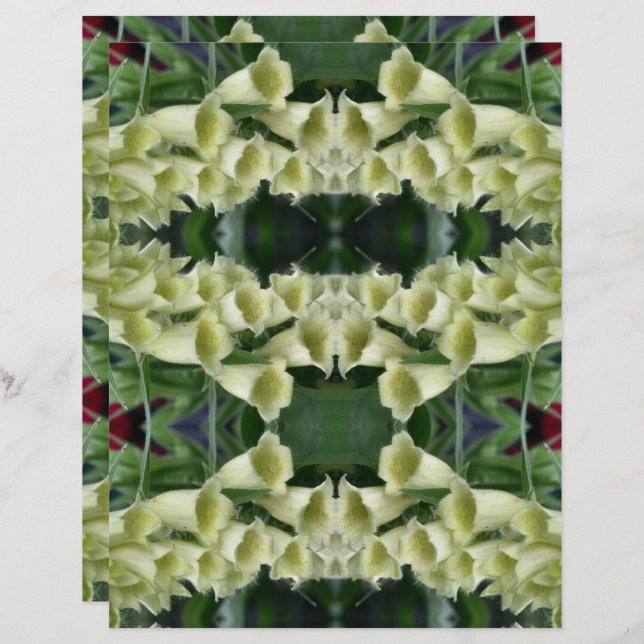 Papel de Abstrato de Flor de Foxglove (Frente/Verso)