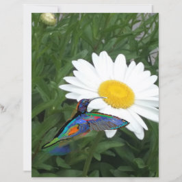Papel de álbum de recortes temático de beija-flor 