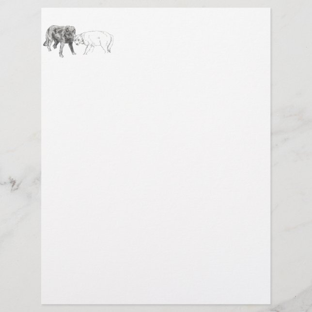 papel de carta de lobos (Frente)