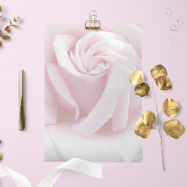 Papel de Carta Floral de Rosa Rosa Rosa Elegante