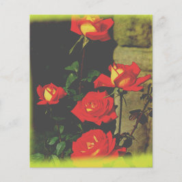 Papel de carta selvagem