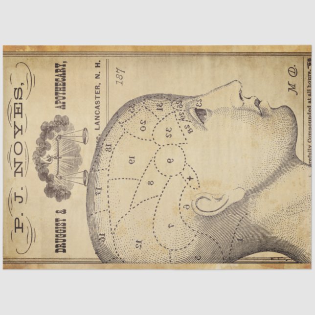 Papel de Decoupage de Mobiliário Apothário (Frente )