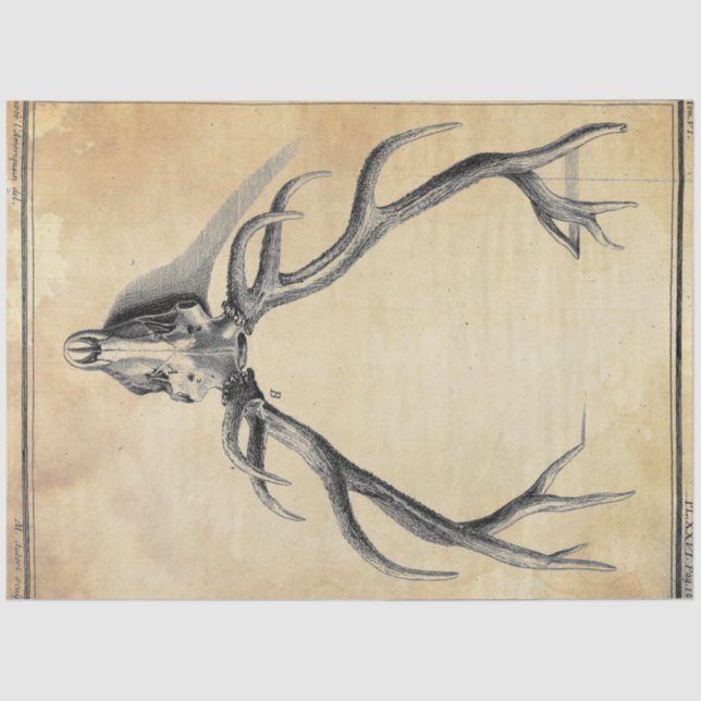 Papel de Decoupage do Antler (Frente )