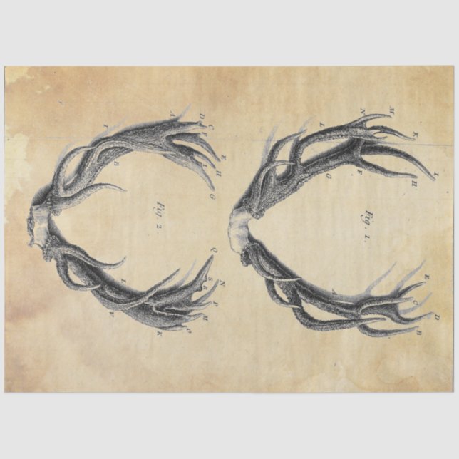 Papel de Decoupage do Antler (Frente )