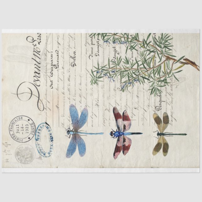 Papel de Decoupage do Mobiliário de Dragonfly (Frente )