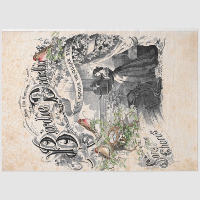 Papel de Decoupage do Querido Birdie (Frente )