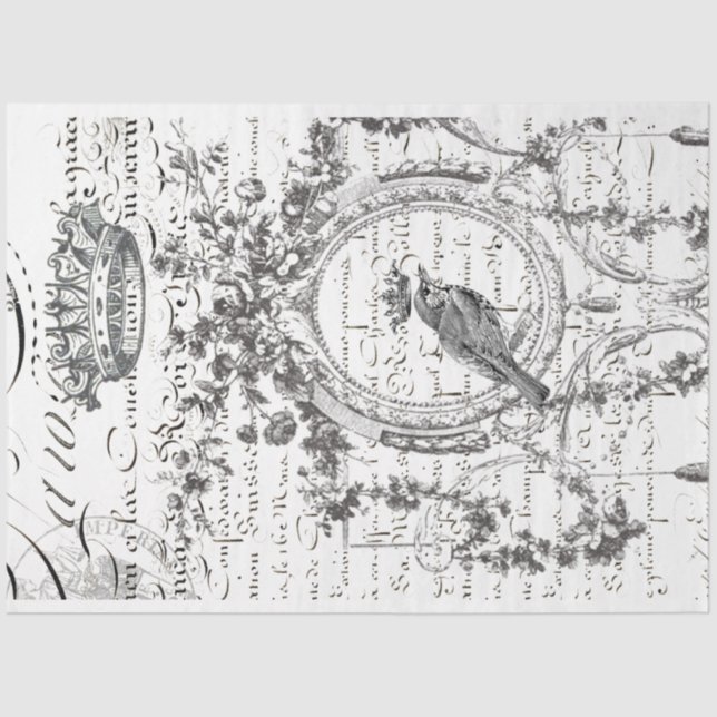 Papel de Decoupage do Script Bird (Frente )