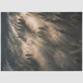 Papel de Decoupage - Mistura Floresta Sunrise | Tr