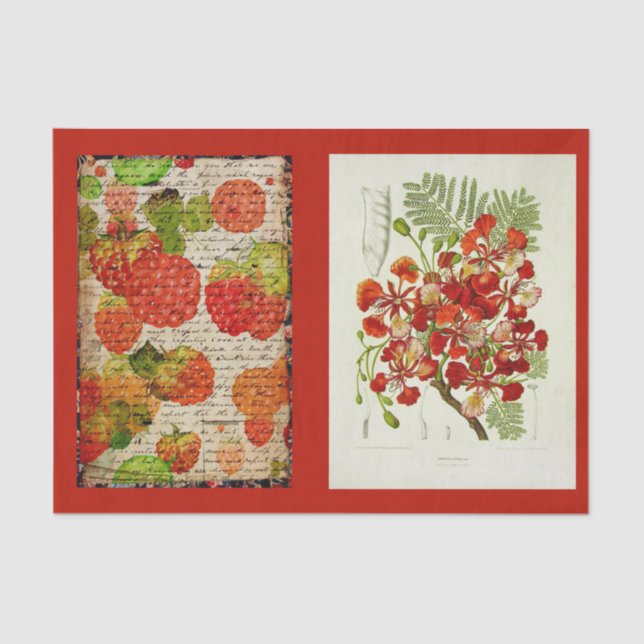 Papel de dissociação 10"x15" - Artigo 53.º Botânic (Frente )