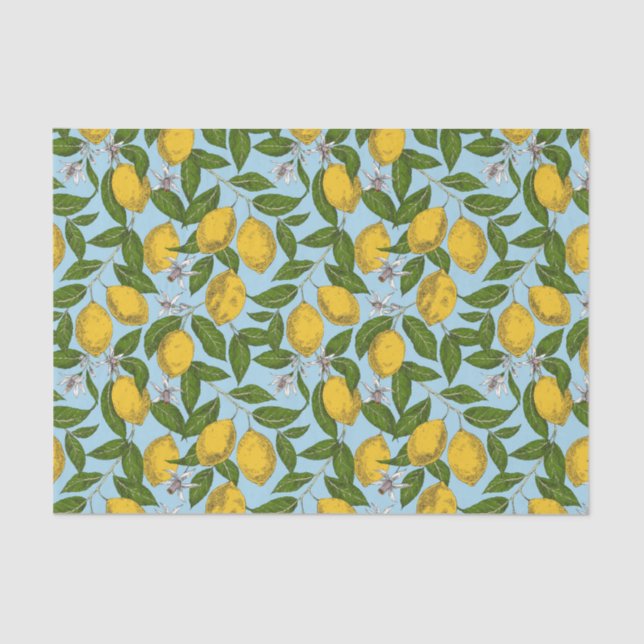 Papel de Dissociação de Árvore de Limões (Frente )