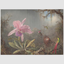 Papel de dissociação de aves e íris