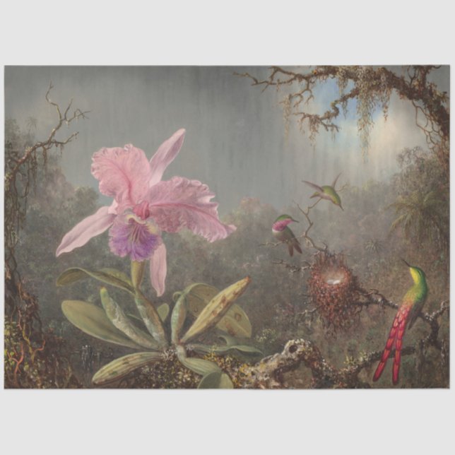 Papel de dissociação de aves e íris (Frente )