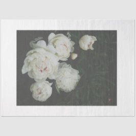 Papel de dissociação de peões brancos