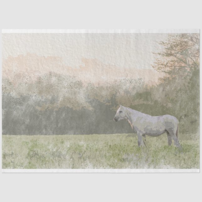 Papel de dissociação de tecidos Wild e Free de 18  (Frente )