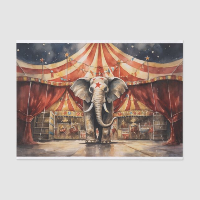 Papel de dissociação do elefante de circo 4 (Frente )