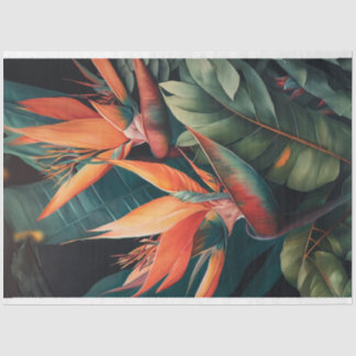 Papel de dissociação, enrolamento, - Distribuidor 