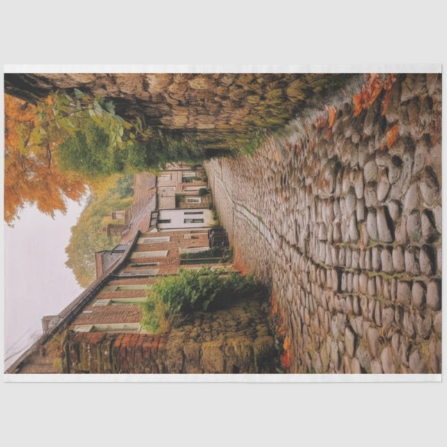 Papel de dissociação, enrolamento, - Elegância ele (Frente )