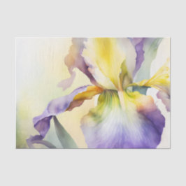 Papel de dissociação IRIS