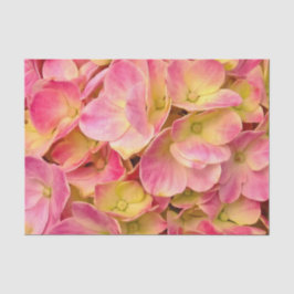 PAPEL DE EMBALAGEM DE Hydrangeas-TISSUE Rosa