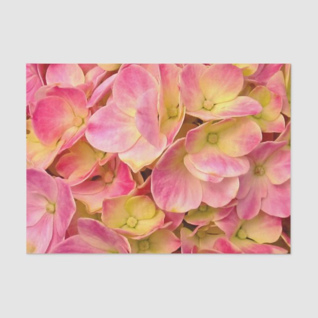 PAPEL DE EMBALAGEM DE Hydrangeas-TISSUE Rosa (Frente )