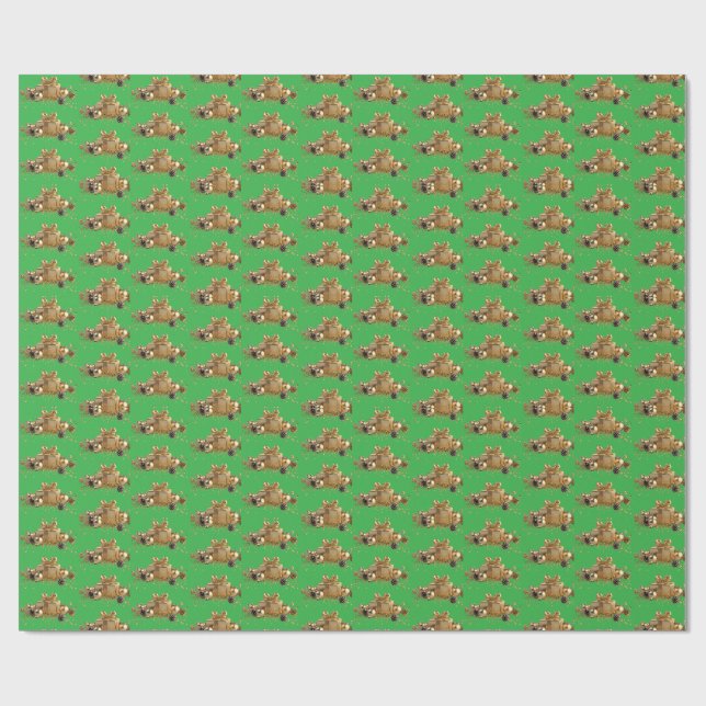 Papel de embrulho (Aberto)