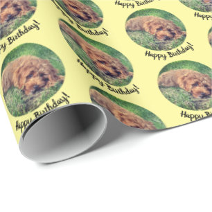 Papel de embrulho amarelo fofo Golden Doodle