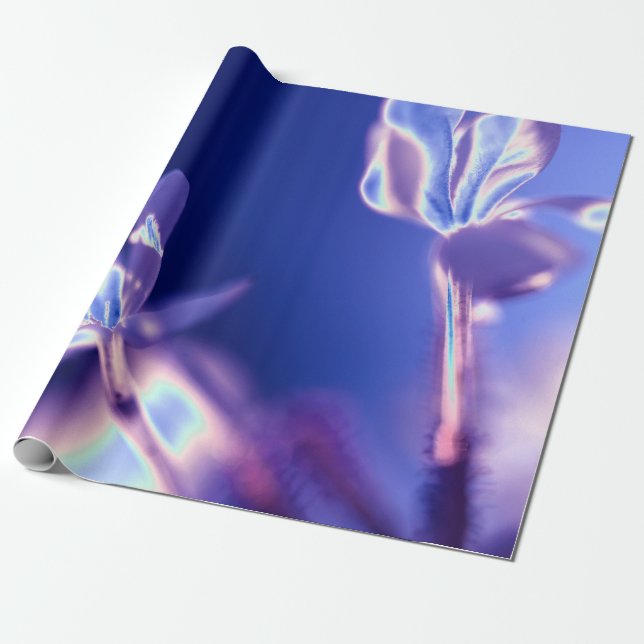 Papel de embrulho azul e lavanda cintilante (Desenrolado)