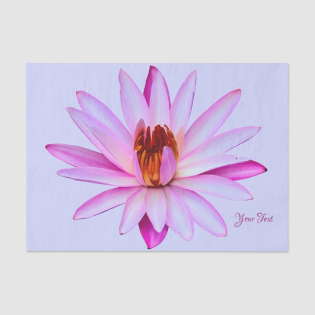 Papel de embrulho azul roxo do lenço de papel do (Frente )