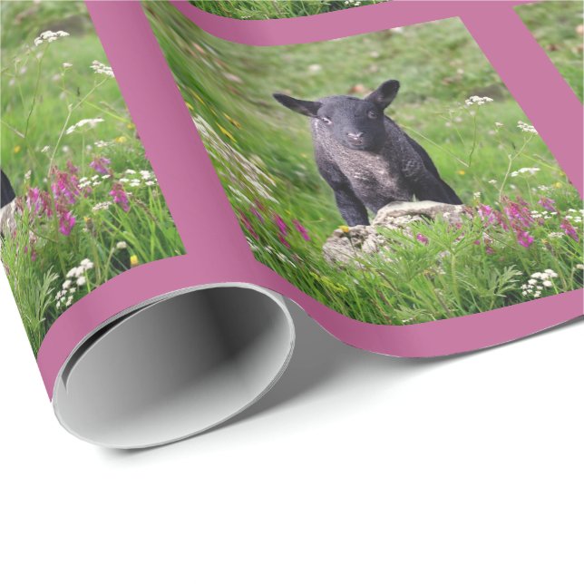 Papel de embrulho Baa Baa Black Sheep (Ponta do rolo)