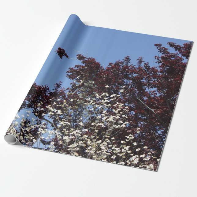 Papel de embrulho branco e azul vermelho da (Desenrolado)