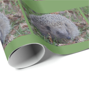 Papel de embrulho com espinhos