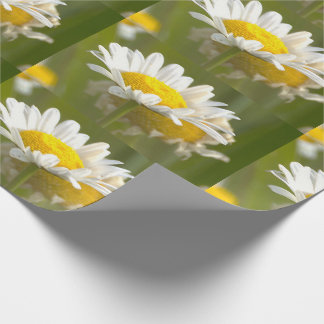 Papel de embrulho com foto de margaridas