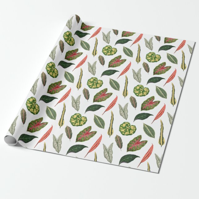Papel de embrulho com tema de folha de planta vint (Desenrolado)