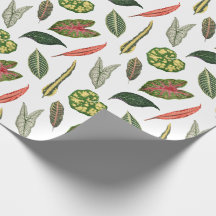Papel de embrulho com tema de folha de planta vint
