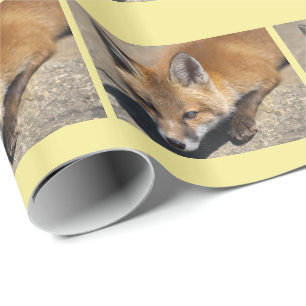 Papel de embrulho da raposa-luna