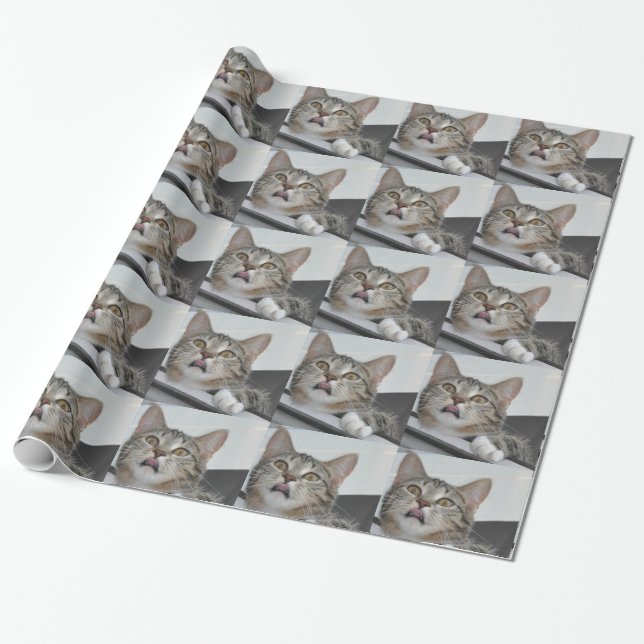Papel de embrulho da Skittles a gata (Desenrolado)