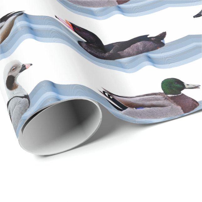 Papel de embrulho Dandy Ducks (Ponta do rolo)