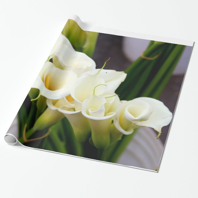 papel de embrulho de calla lily (Desenrolado)