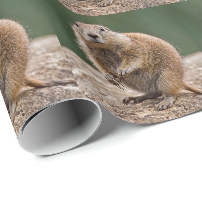 Papel de embrulho de cão da pradaria curioso (Ponta do rolo)
